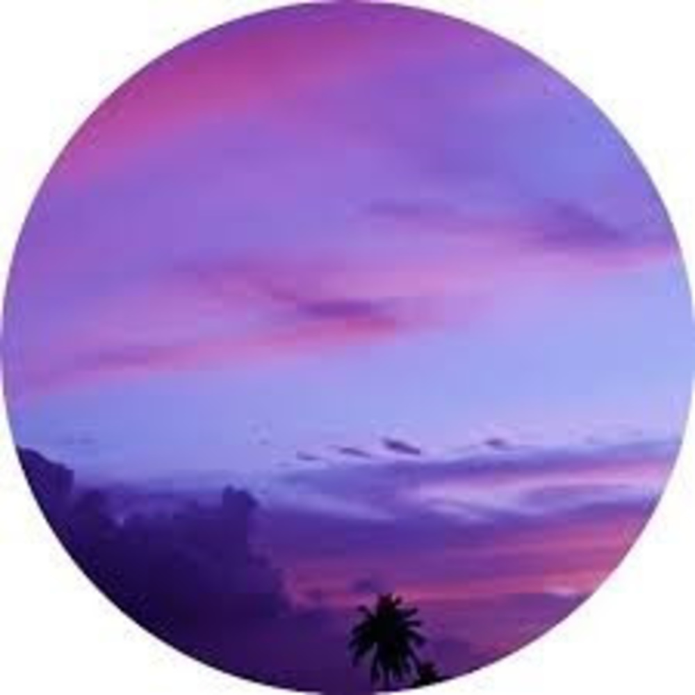 Meet your Posher, Skylar